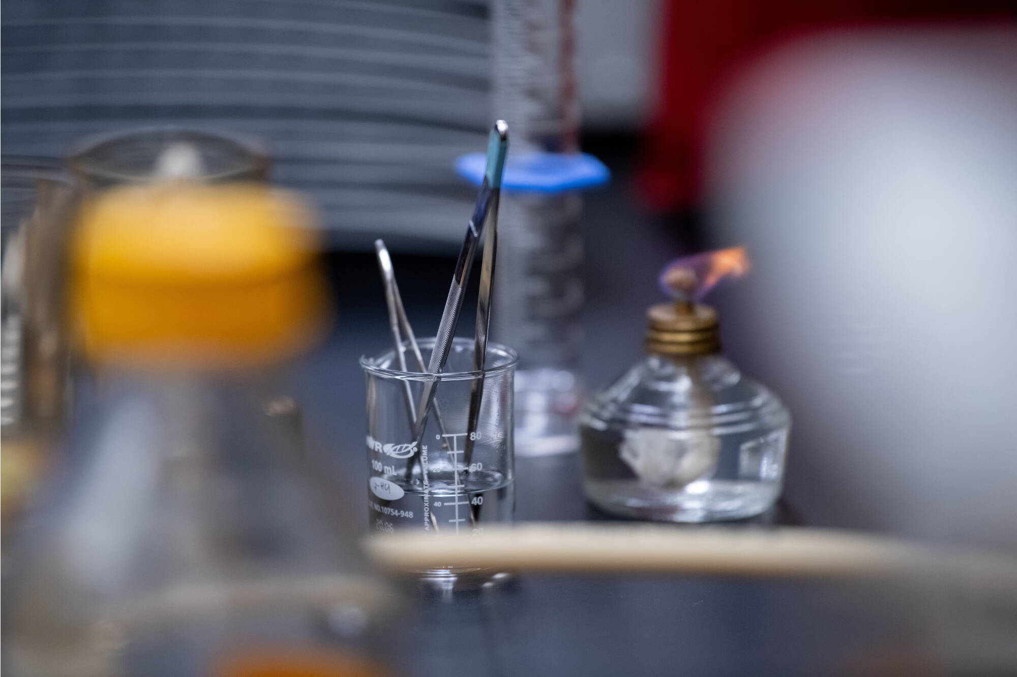 picture of forceps and lighter.